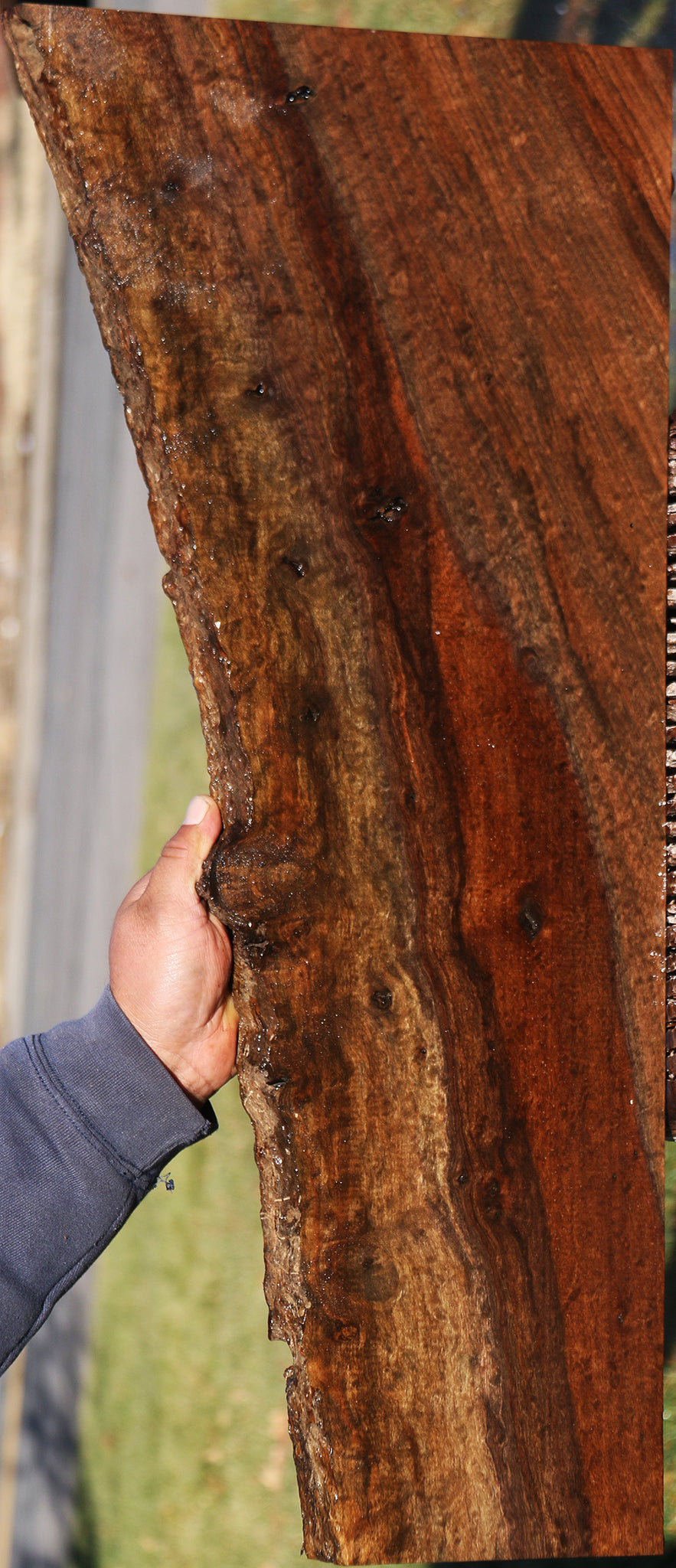 221849_1_cd5e1755-08a5-4b7c-b6b7-ea6355744953 15025038983539