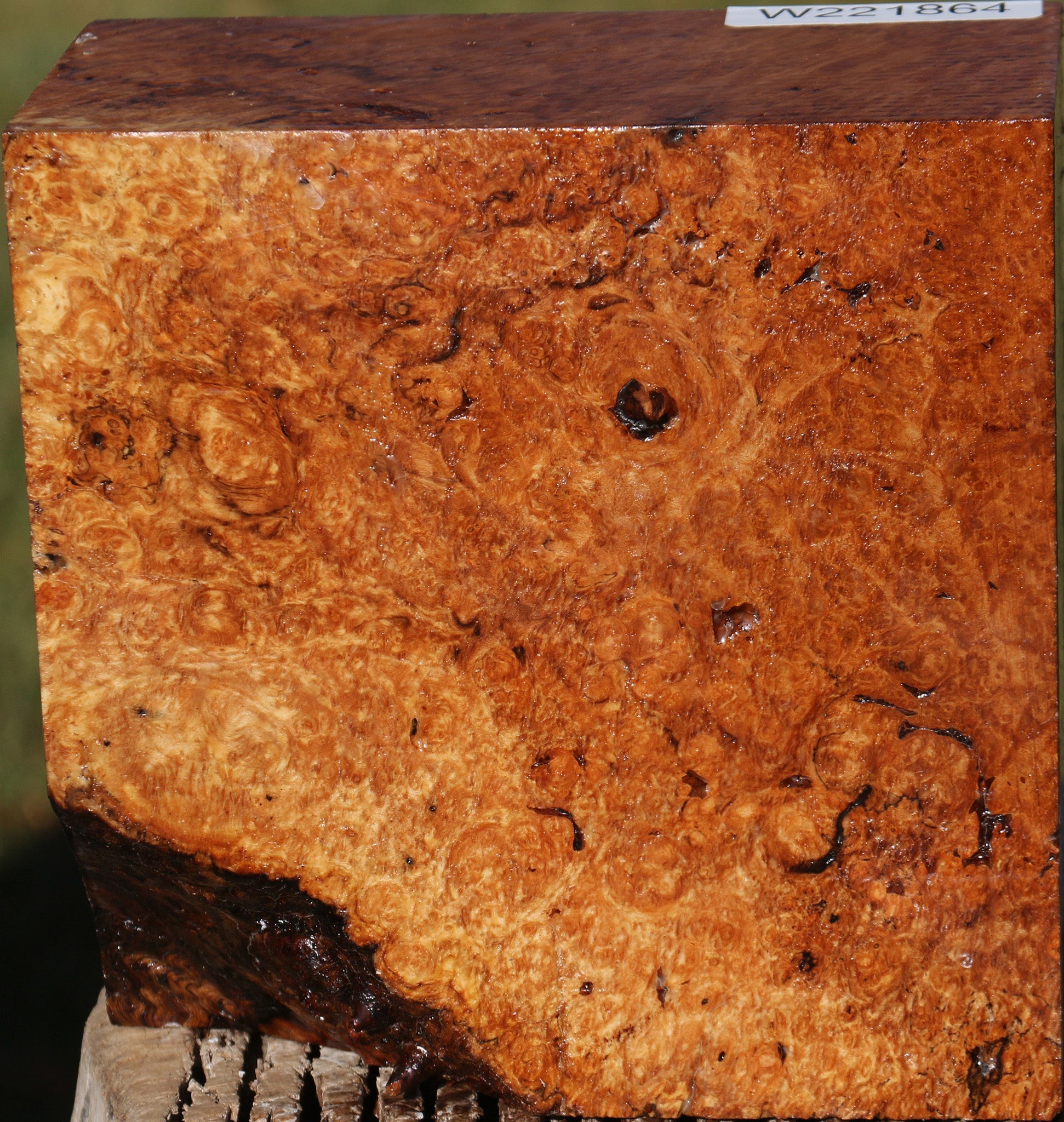 221864_1_986b37ea-32c9-4826-87e8-f65fec009e31 15025322590579