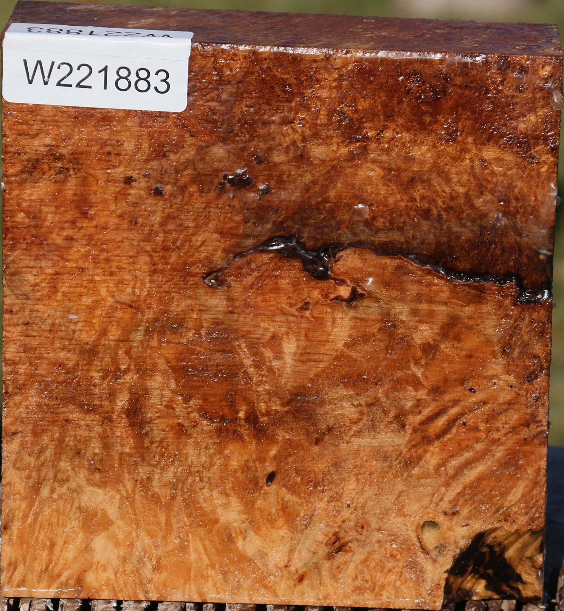 221883_1_46298185-bdc6-448c-8918-4d8a7fce47b2 15025323278707