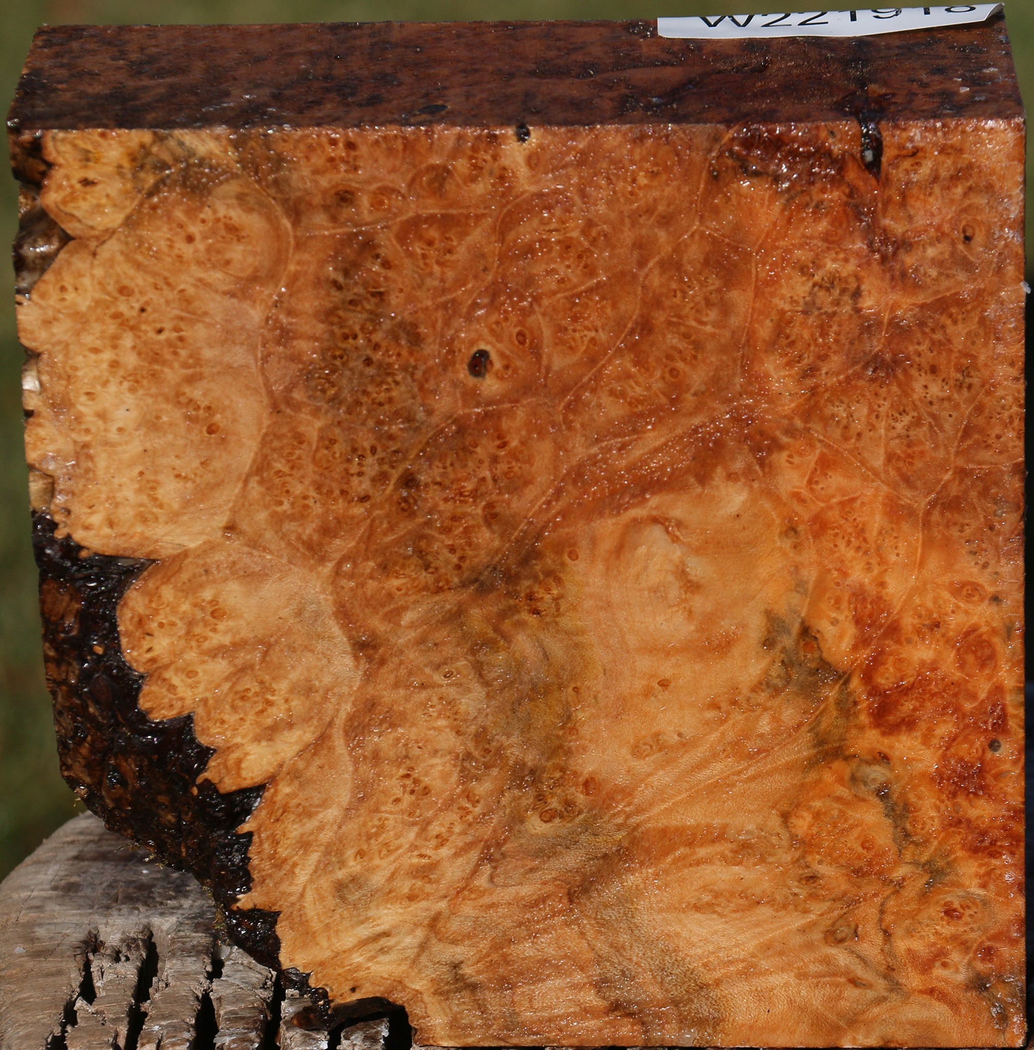 221918_1_03969646-2e8f-4022-9946-1956a2eab78e 15025324917107