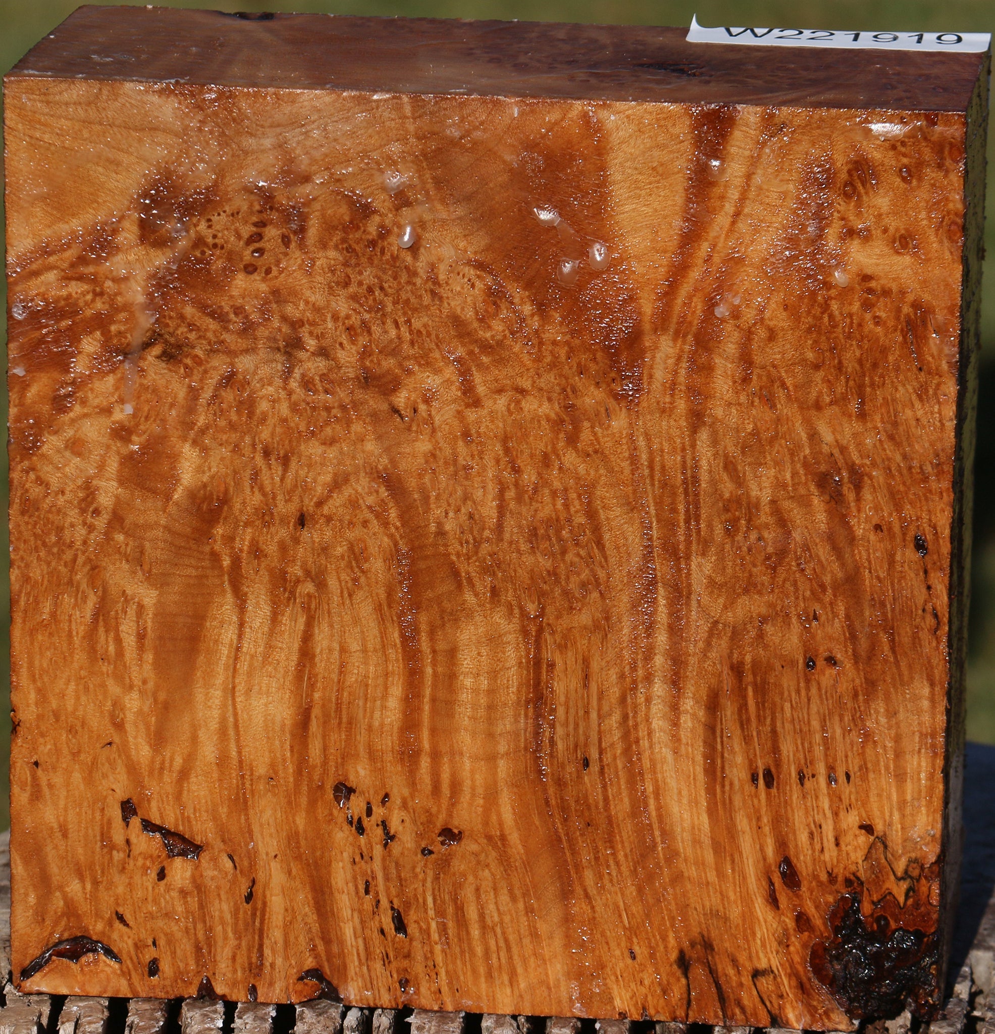 221919_1_5e727e18-a467-4265-a392-4308bc3bd4b5 15025324949875