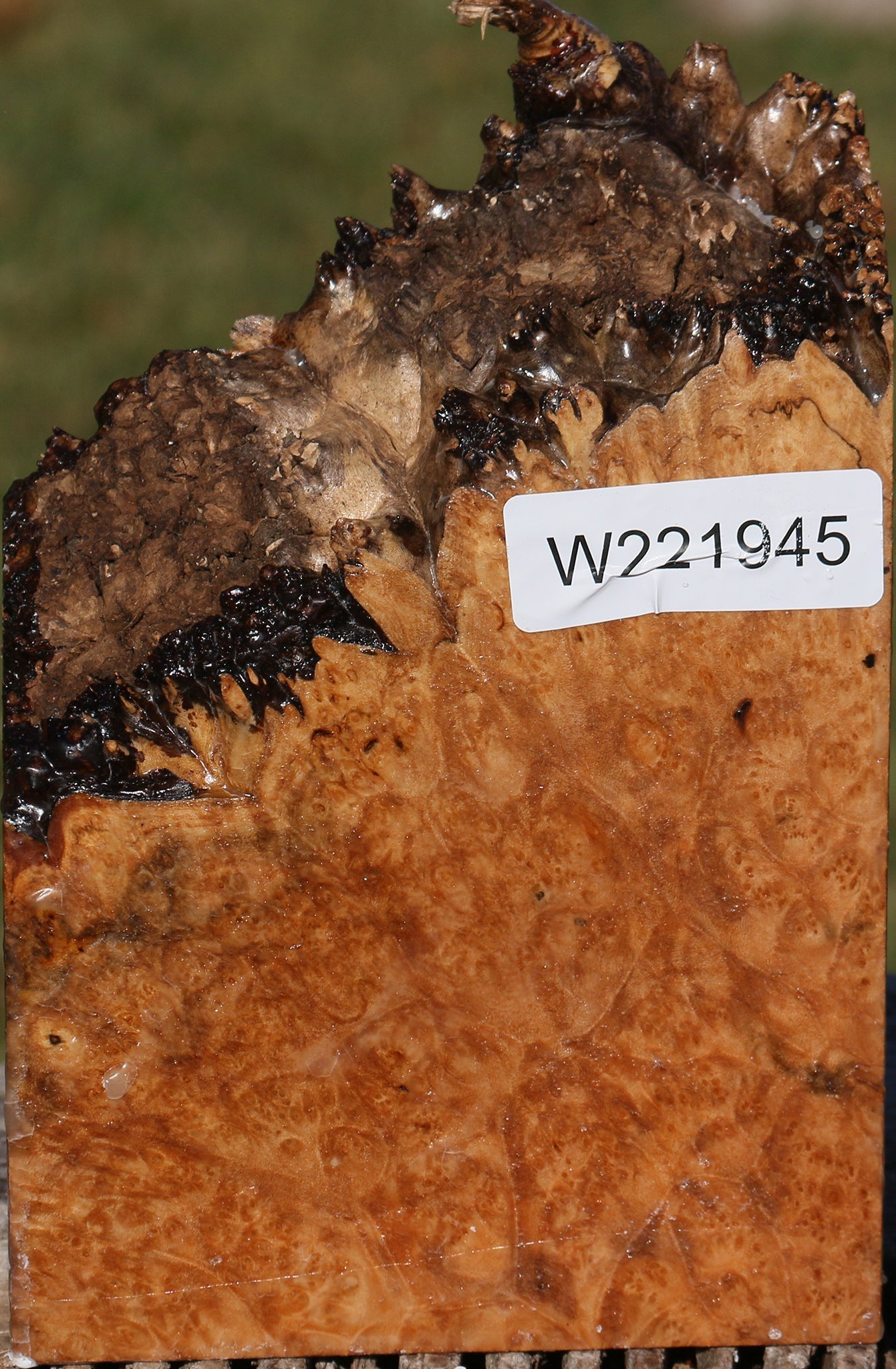 221945_1_f97a6f13-204d-4183-a7db-4d314a8bc645 15025325801843