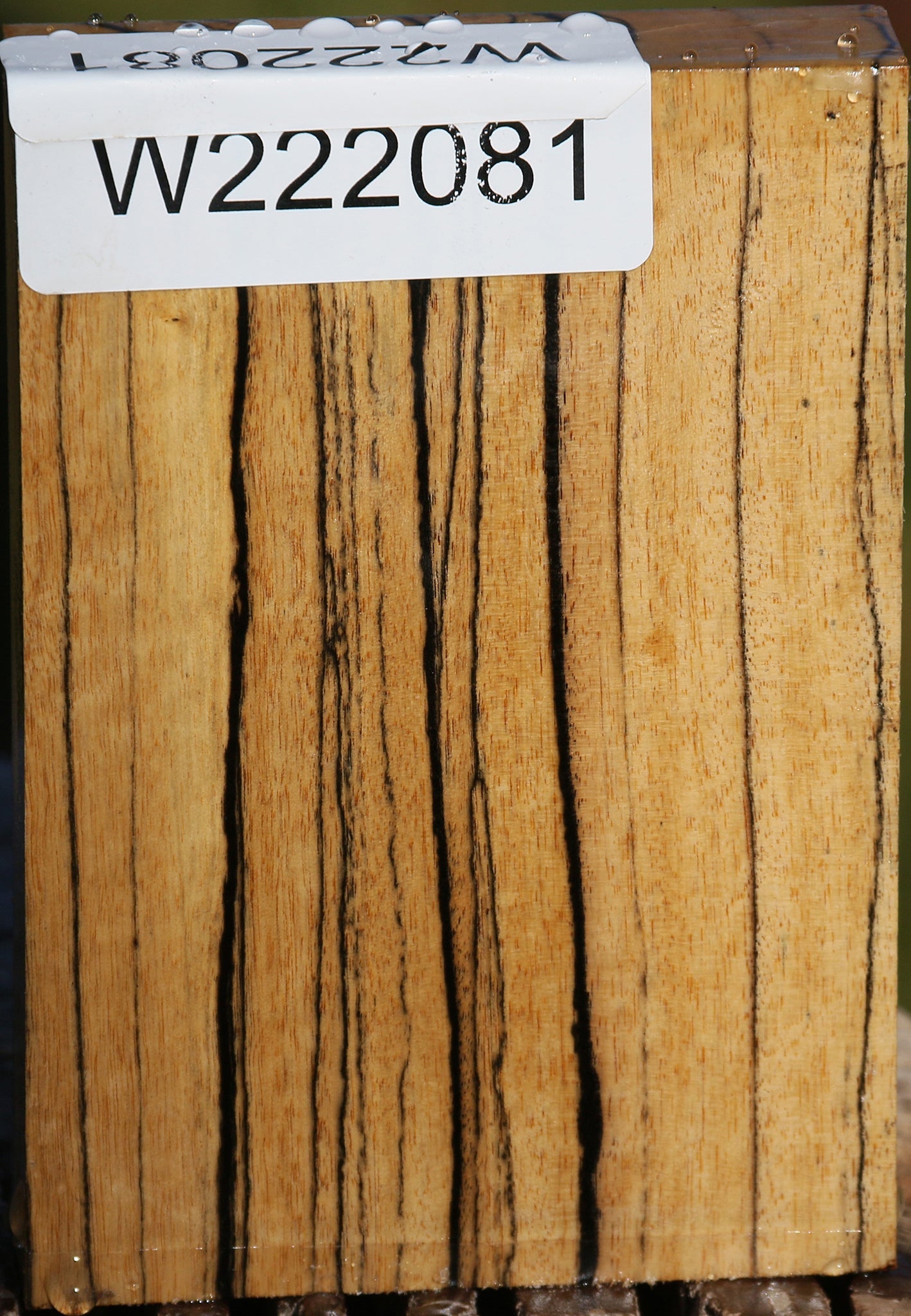 222081_1_e00e02f0-84dd-47eb-90e8-a895efad33fc 15026063475059