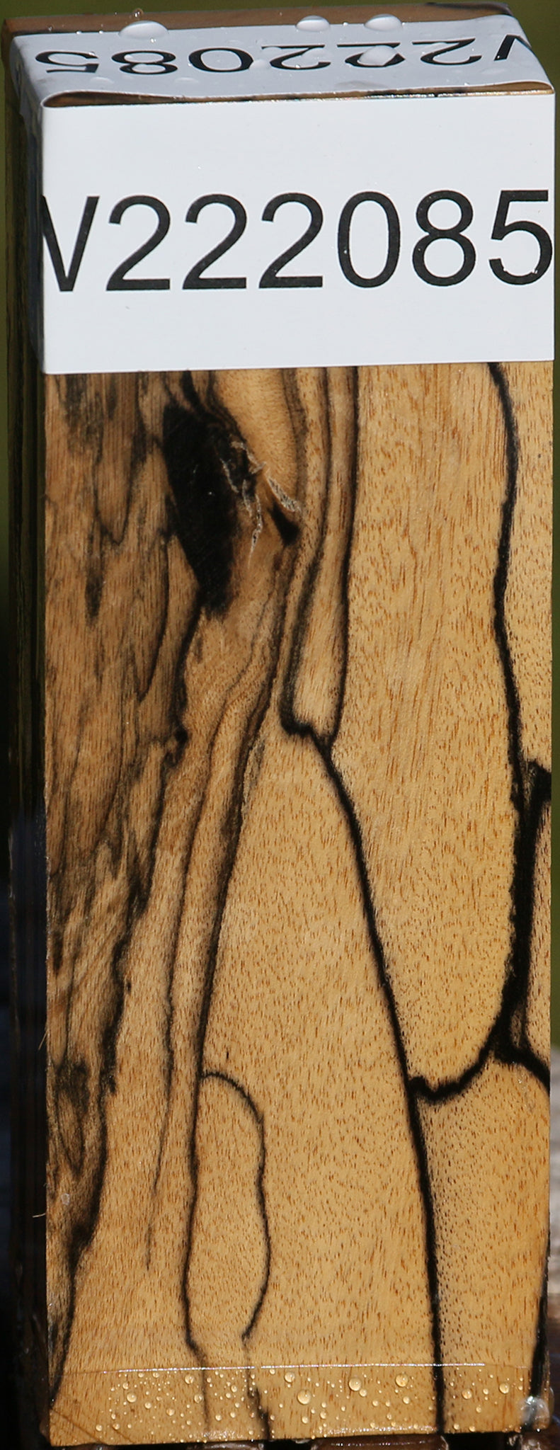 222085_1_07363f43-001f-405f-a0d1-edb61e10e5a0 15026063638899