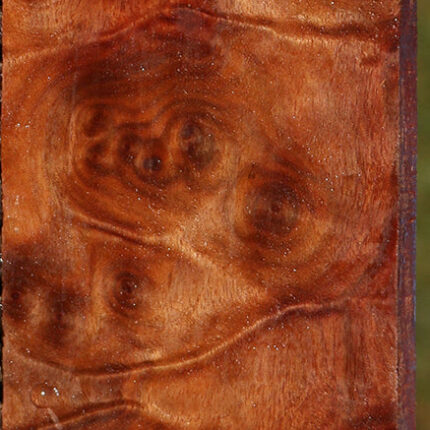 15025573855603