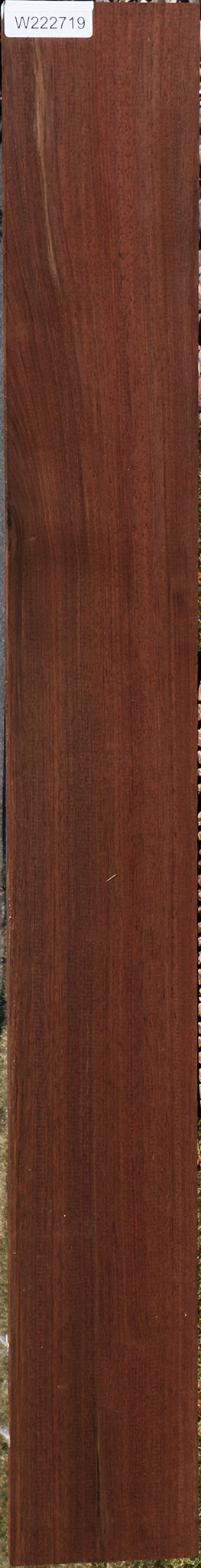 222719_1_6499fdb6-11b8-447a-9393-01e3b774c8ef 15032259772787