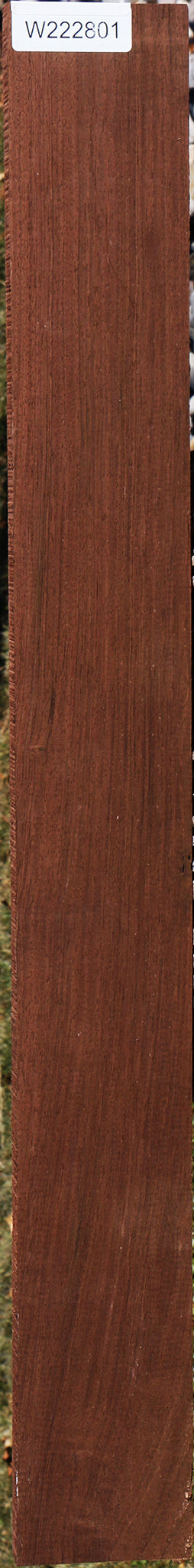 222801_1_9c353503-03bc-4a57-87d5-ea0a27f938ab 15032268161395