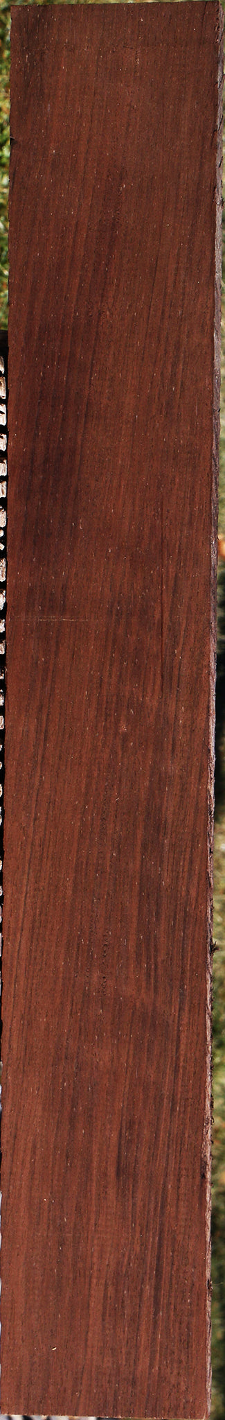 222810_1_662baa3f-fcf9-4d08-a674-499147af8bed 15032270094707