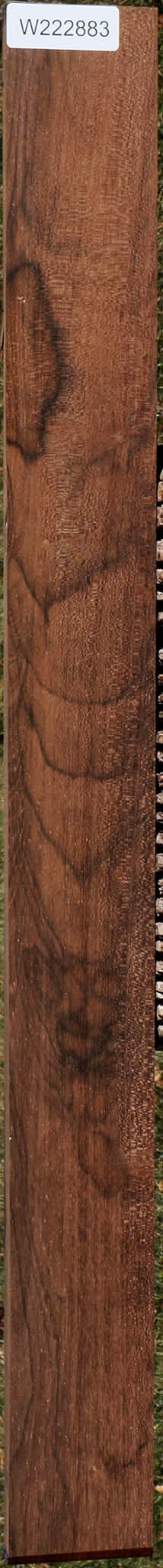 222883_1_f2e7a457-8c04-4a53-8320-ac2658b6571a 15032222908787