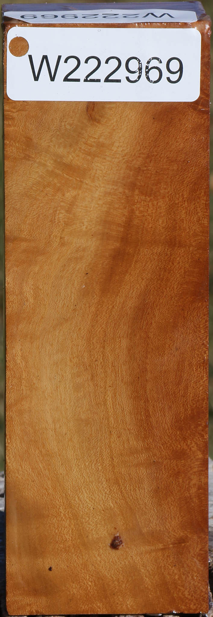 222969_1_729dab4b-82f2-4624-a276-96dee5ff6b75 15036136227187