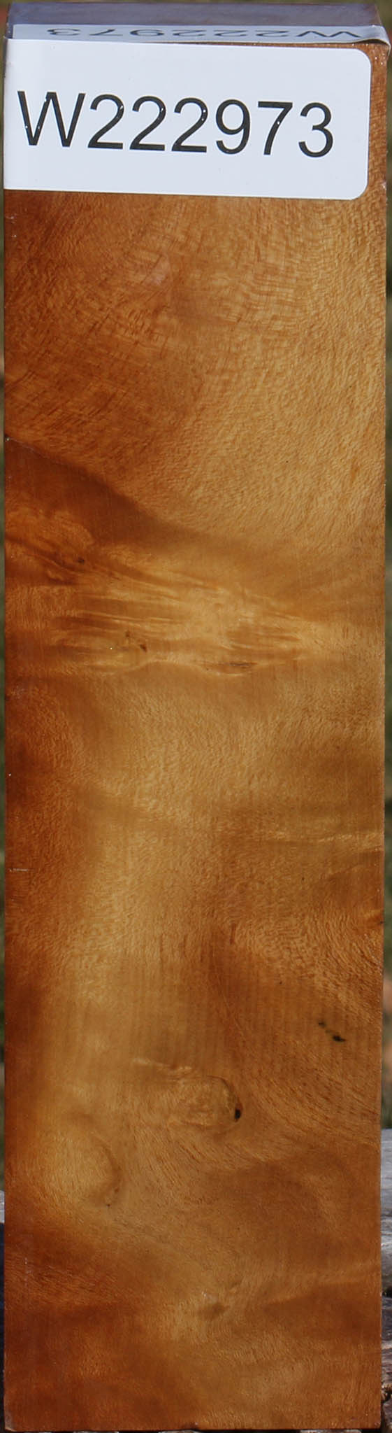 222973_1_496e5ba5-1f40-4659-9b51-647dde832f3e 15036136423795