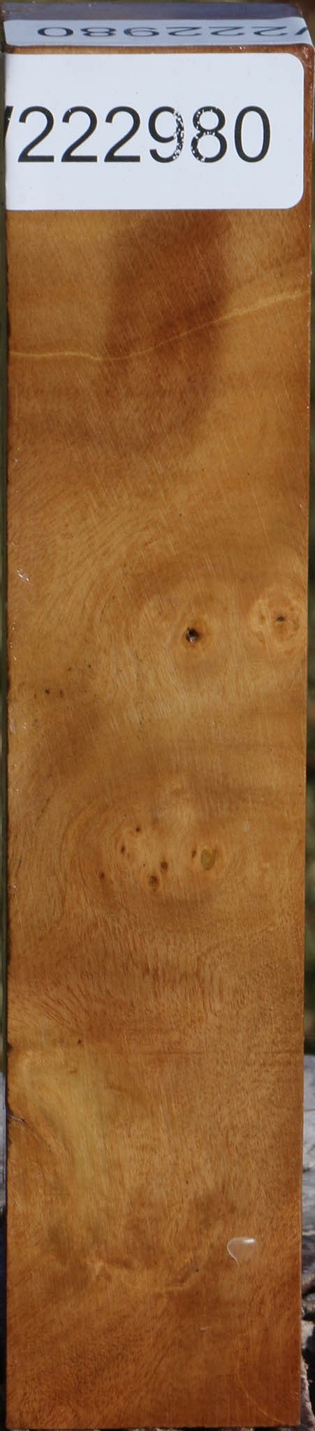 222980_1_3c4903e7-343a-42ca-be81-d616b3b6603f 15036136718707