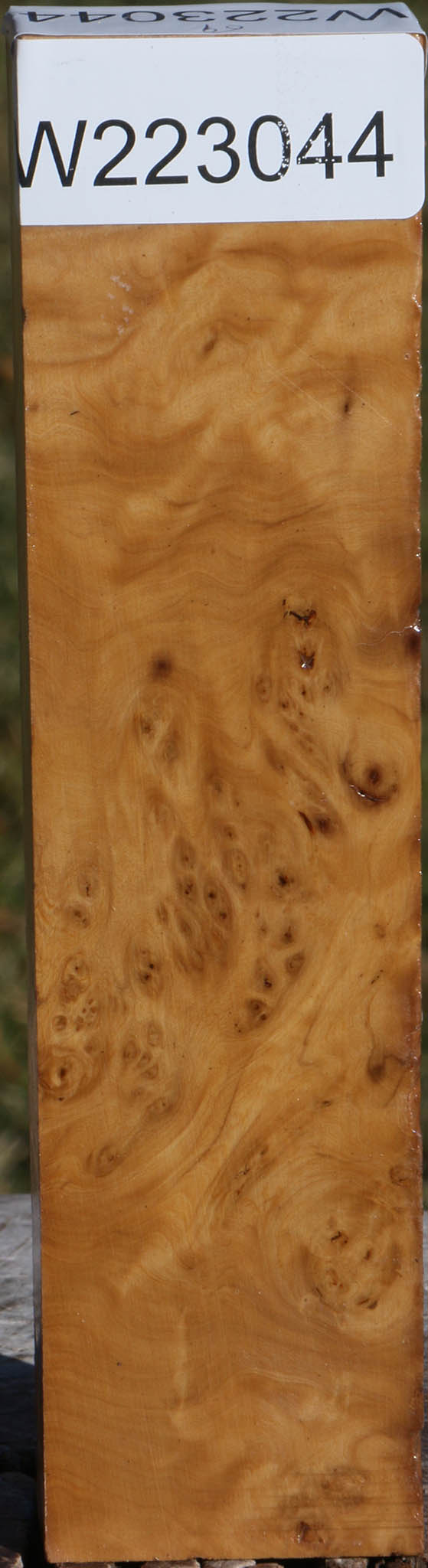 223044_1_0b300df8-52ca-426b-8f66-4ac6dd606cd0 15036141928819