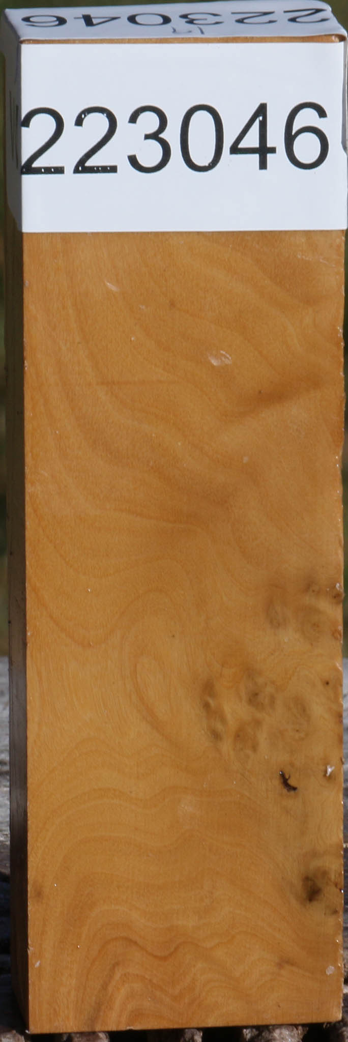 223046_1_851e6359-ccf9-4d17-8120-1838f6ac6cbb 15036142027123