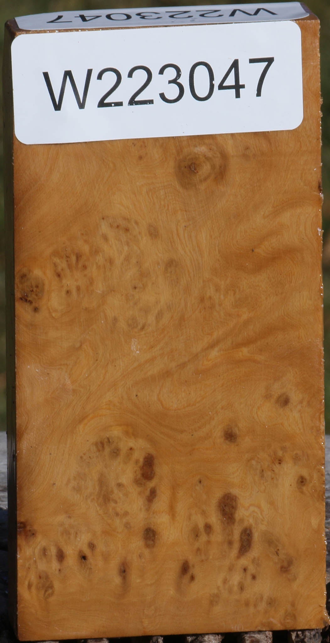 223047_1_7591f879-4692-455f-8bf6-73fa1662d921 15036142059891