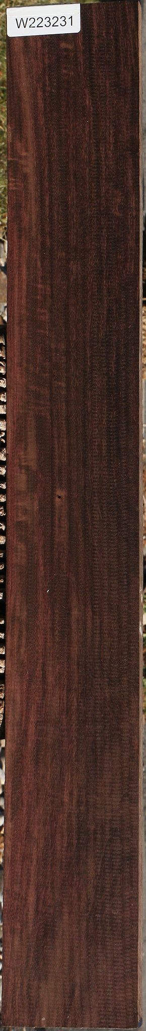 223231_1_22595953-34b9-4443-99ba-131899bffac5 15034887635315