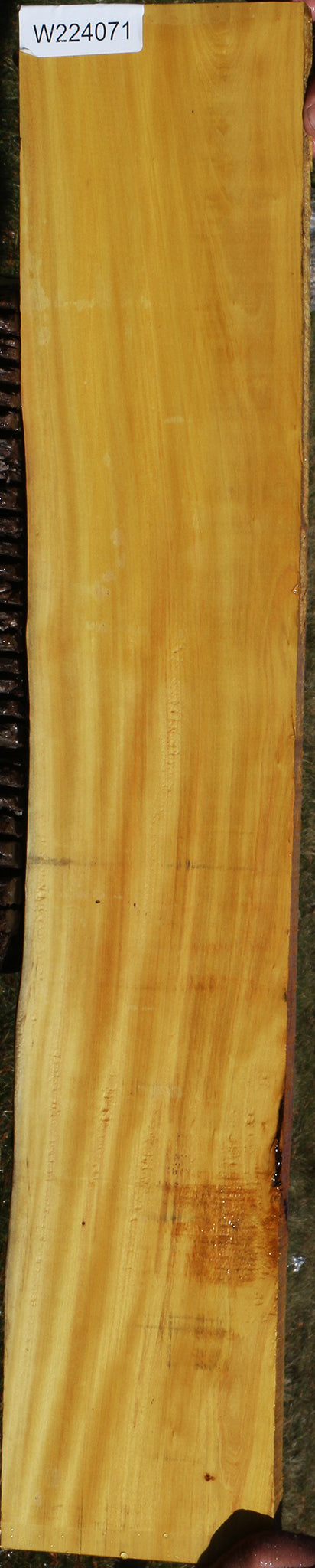 224071_1_8cce1313-d0fc-4967-afec-498540fb9ecb 15037538730355