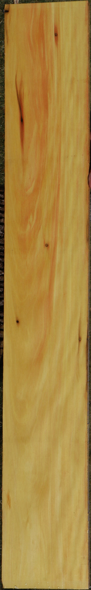 224092_1_2fd63728-673d-4cec-8cf3-5b5ea3a35312 15037539811699