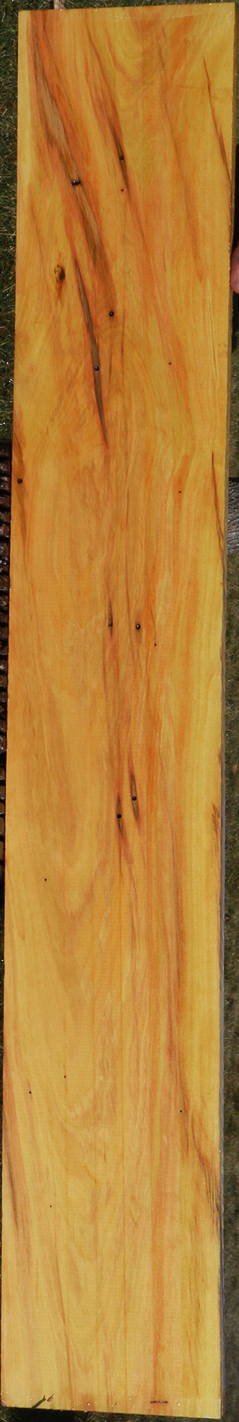 224103_1_de676504-92a0-4c1f-b617-822e288fbee5 15037540172147