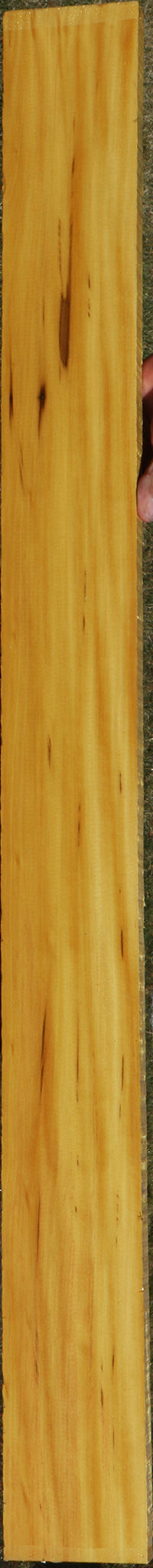 224105_1_bb6f11e7-08fc-4a41-bae4-afc4c87e2f23 15037540270451