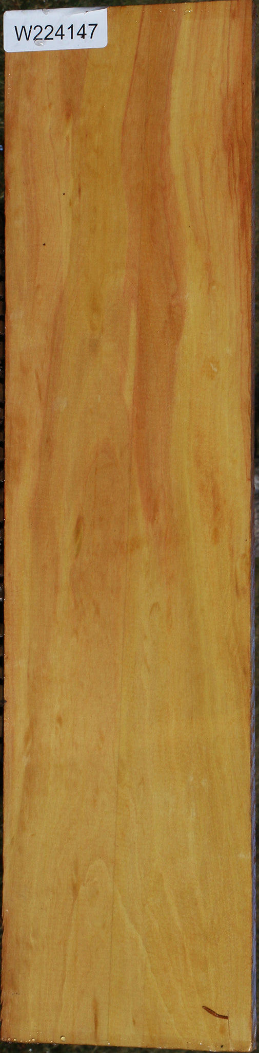 224147_1_c2057ae2-318b-4787-86ec-e4ac9c976ddb 15037542203763