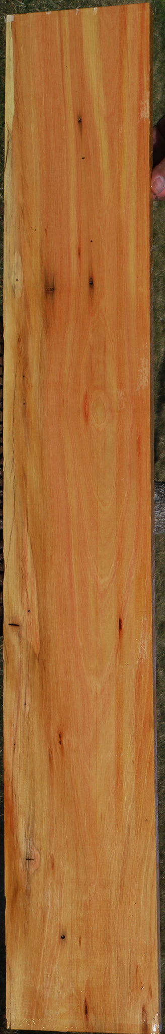 224150_1_6625a775-ea1d-405f-9101-134fcc616c91 15037542334835