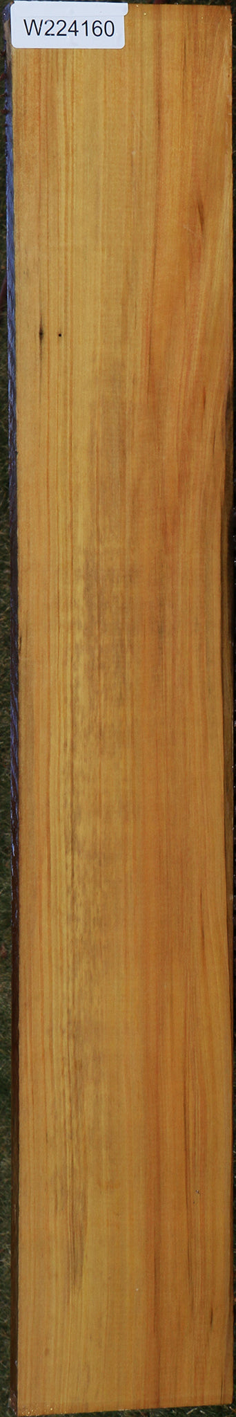 224160_1_47a3fbc0-0f56-41f0-938d-7a2b7c581564 15037542859123