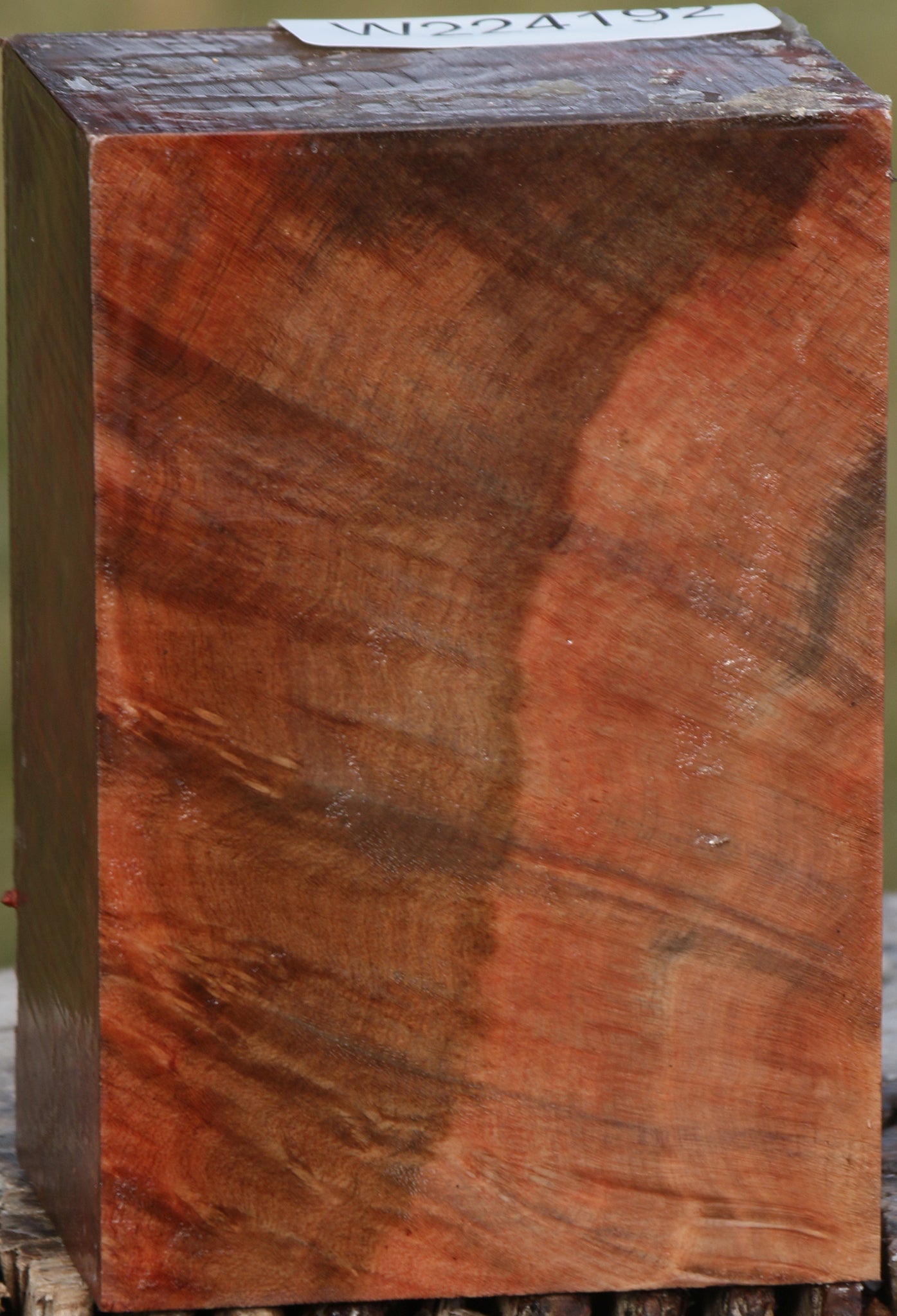 224192_1_61f7437b-4ab2-4180-a0f5-6612efcac75d 15033331089779