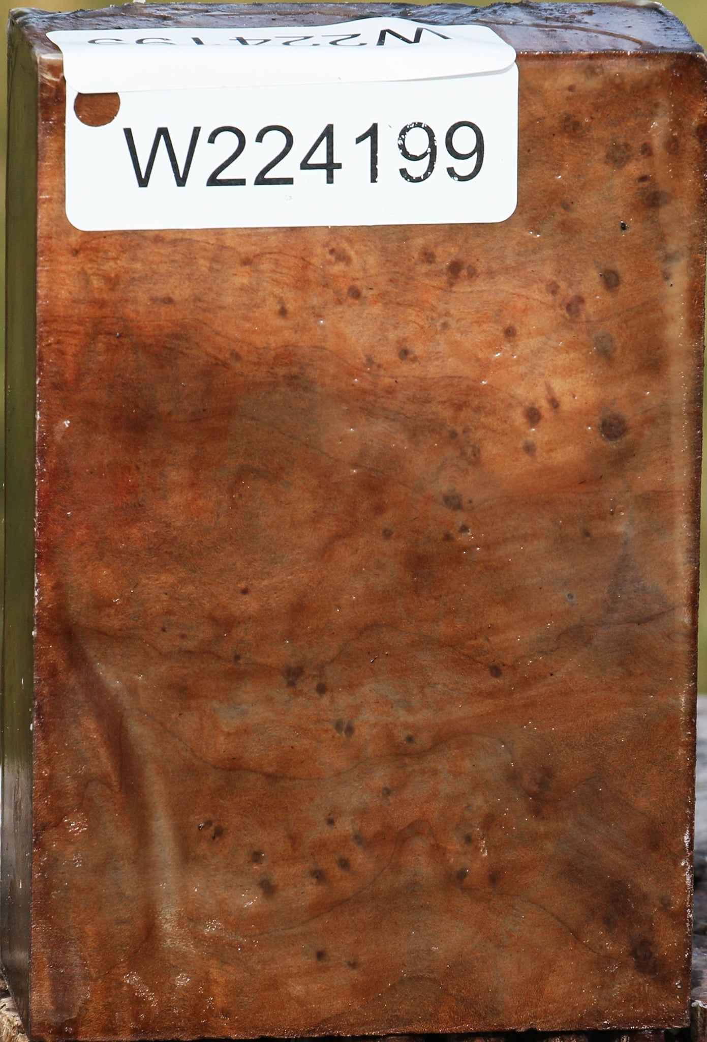 224199_1_ba9a85e3-0c46-47bf-ab25-cf18f993c942 15033332334963