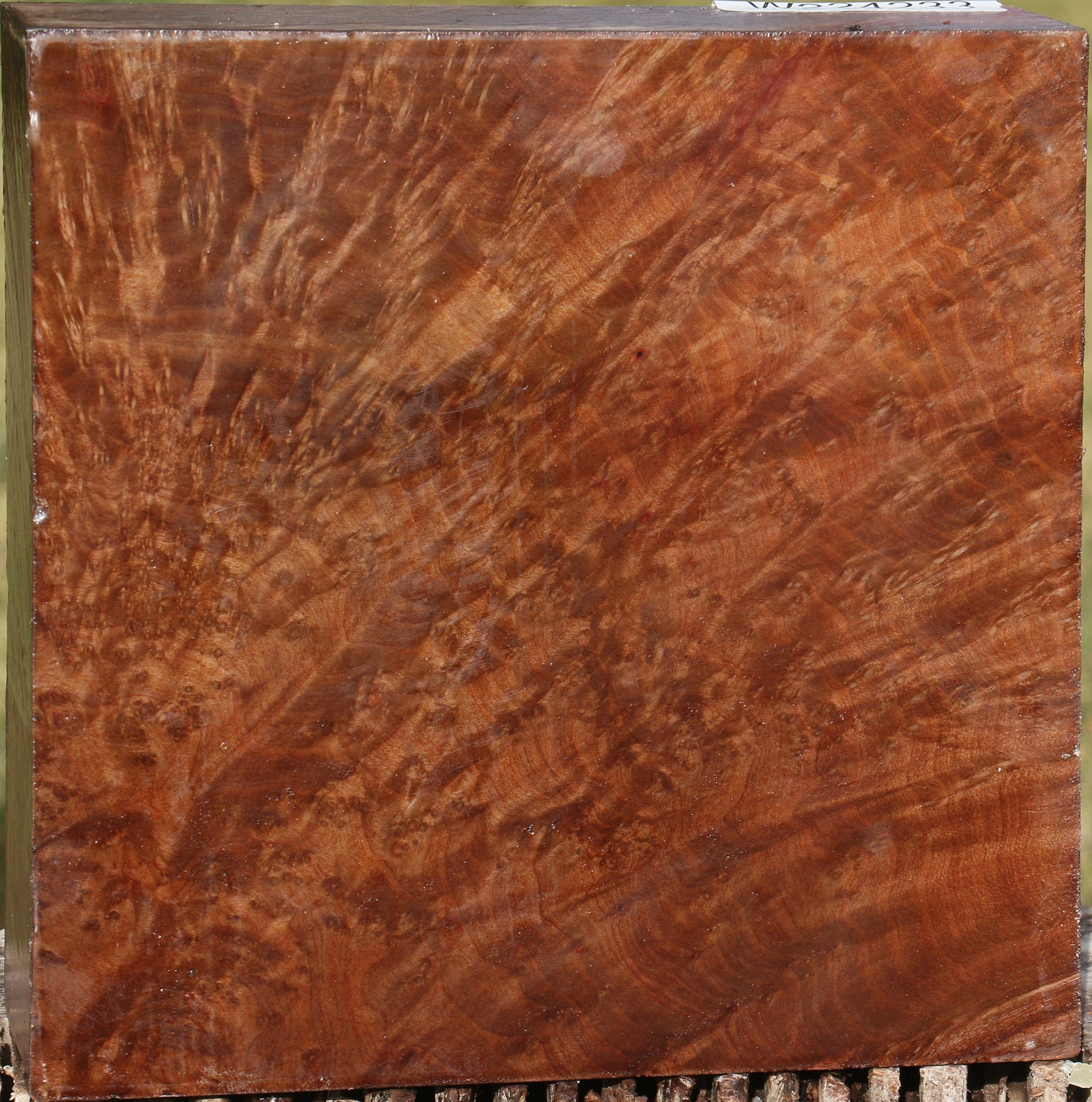 224233_1_f01e38e3-61e0-4e96-9cfe-ba90a59b2c6e 15033335808371