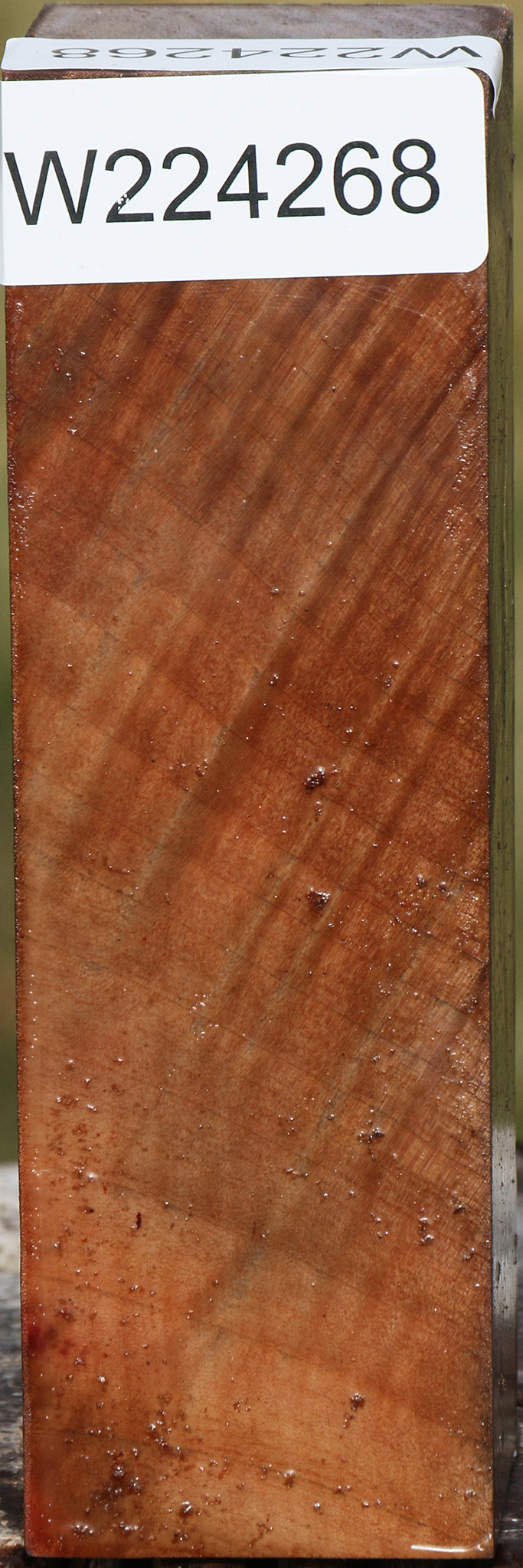 224268_1_0429111f-0e8f-46bb-8ef2-0e6aaaf635a3 15033338986867