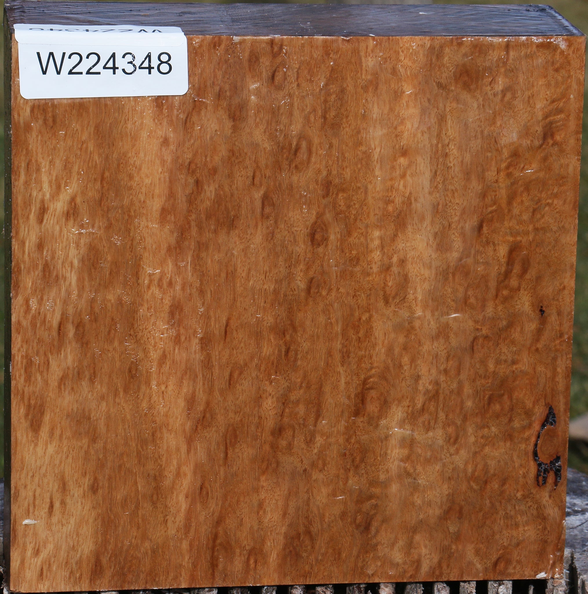 224348_1_8dd0a9f1-b63a-4a08-aaf3-2605ade22222 15039289852275