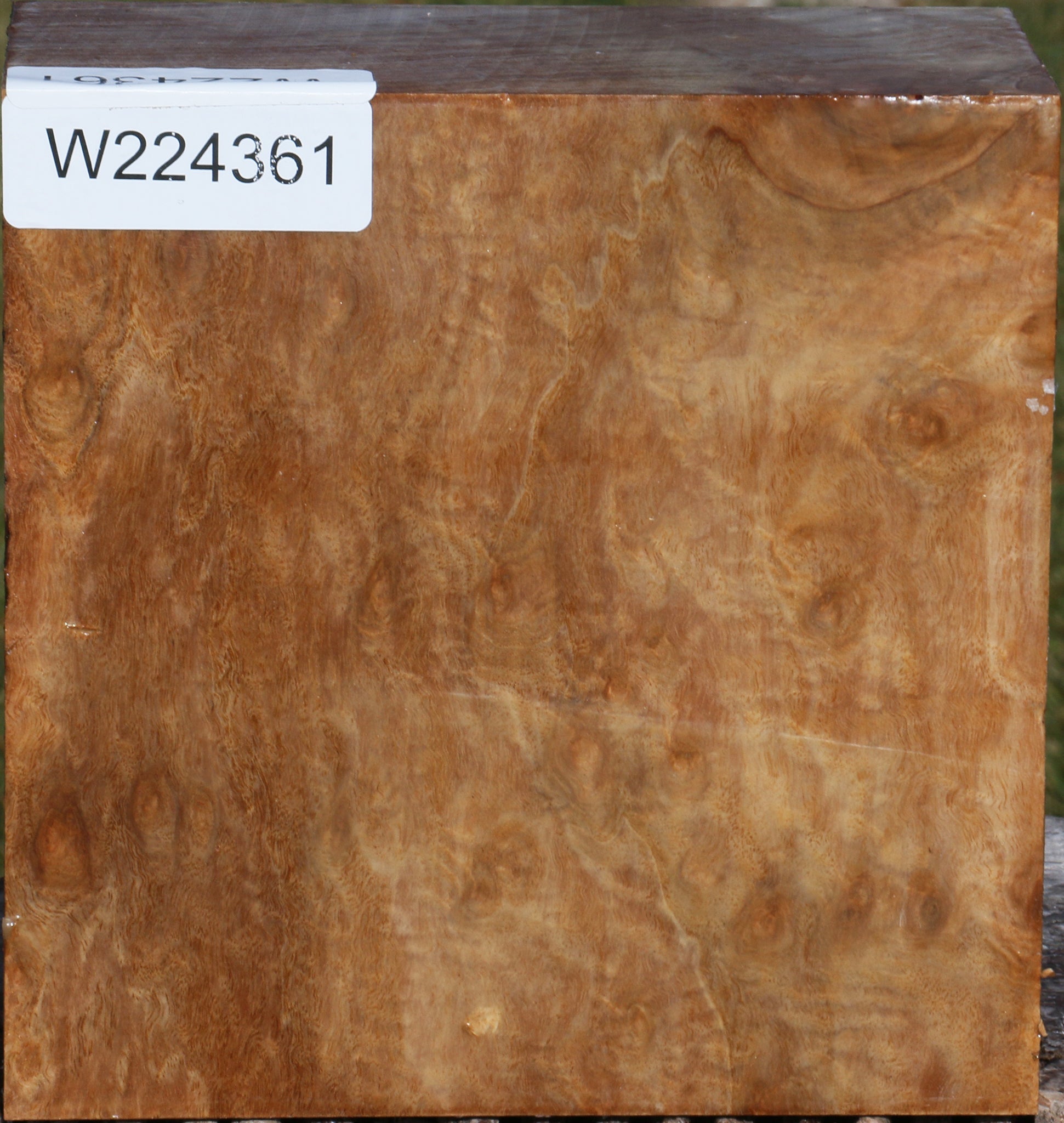 224361_1_1ba12c6f-8a3b-4085-929b-42f5478e4202 15039290343795