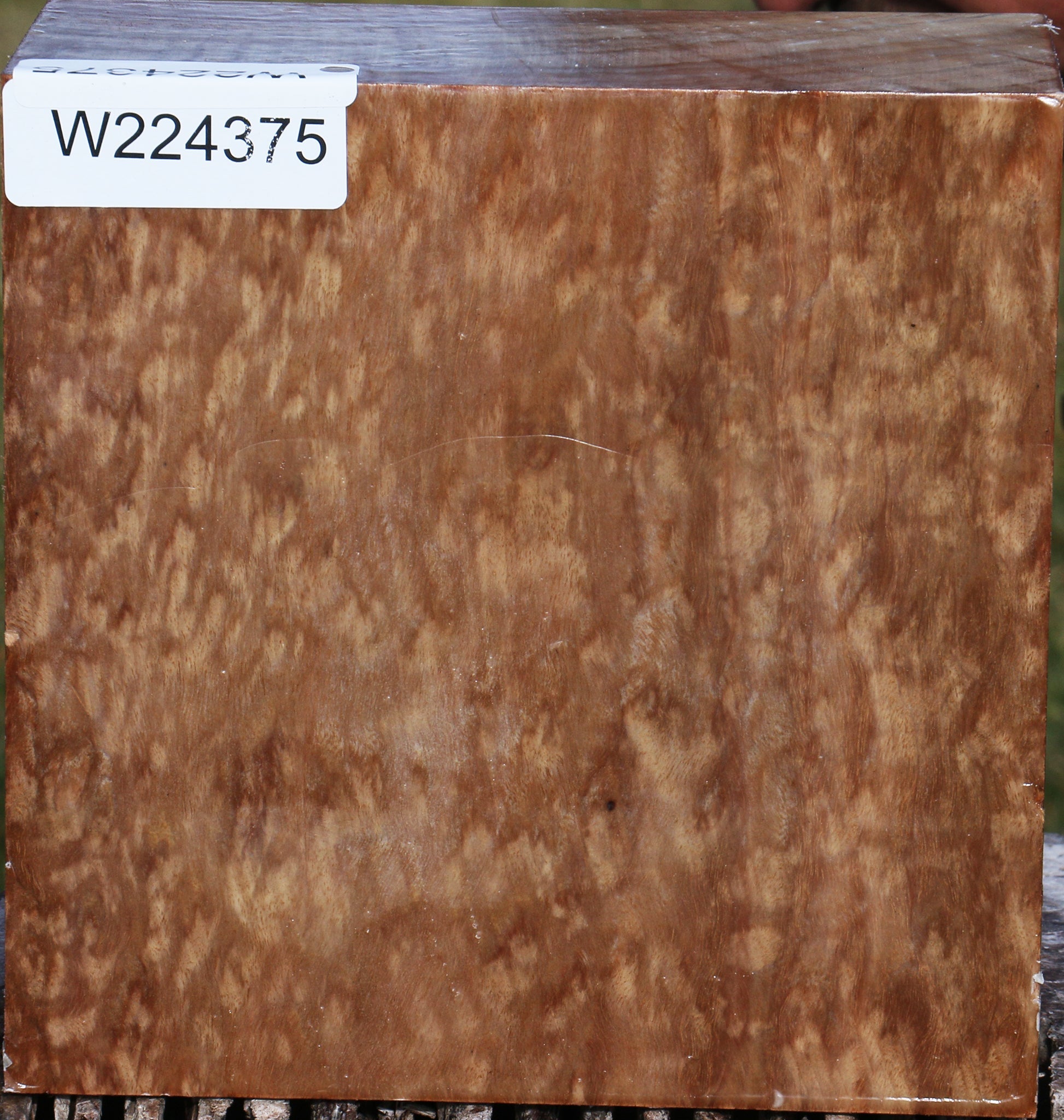 224375_1_9506027b-e6eb-43cc-bdda-1a81f7890466 15039290966387