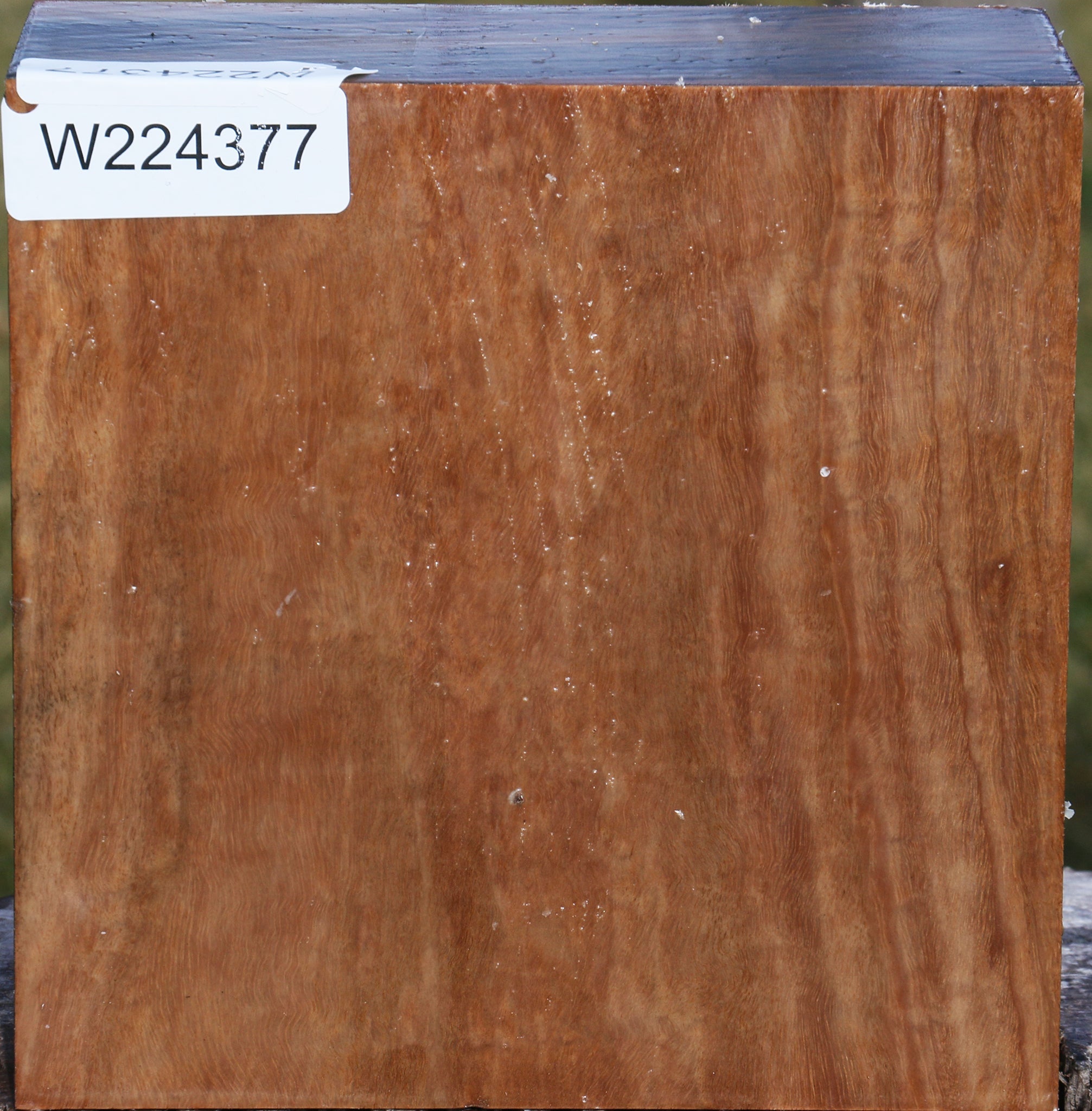 224377_1_2ae005fc-d579-42e3-ac29-c38631d5f8d1 15039291031923