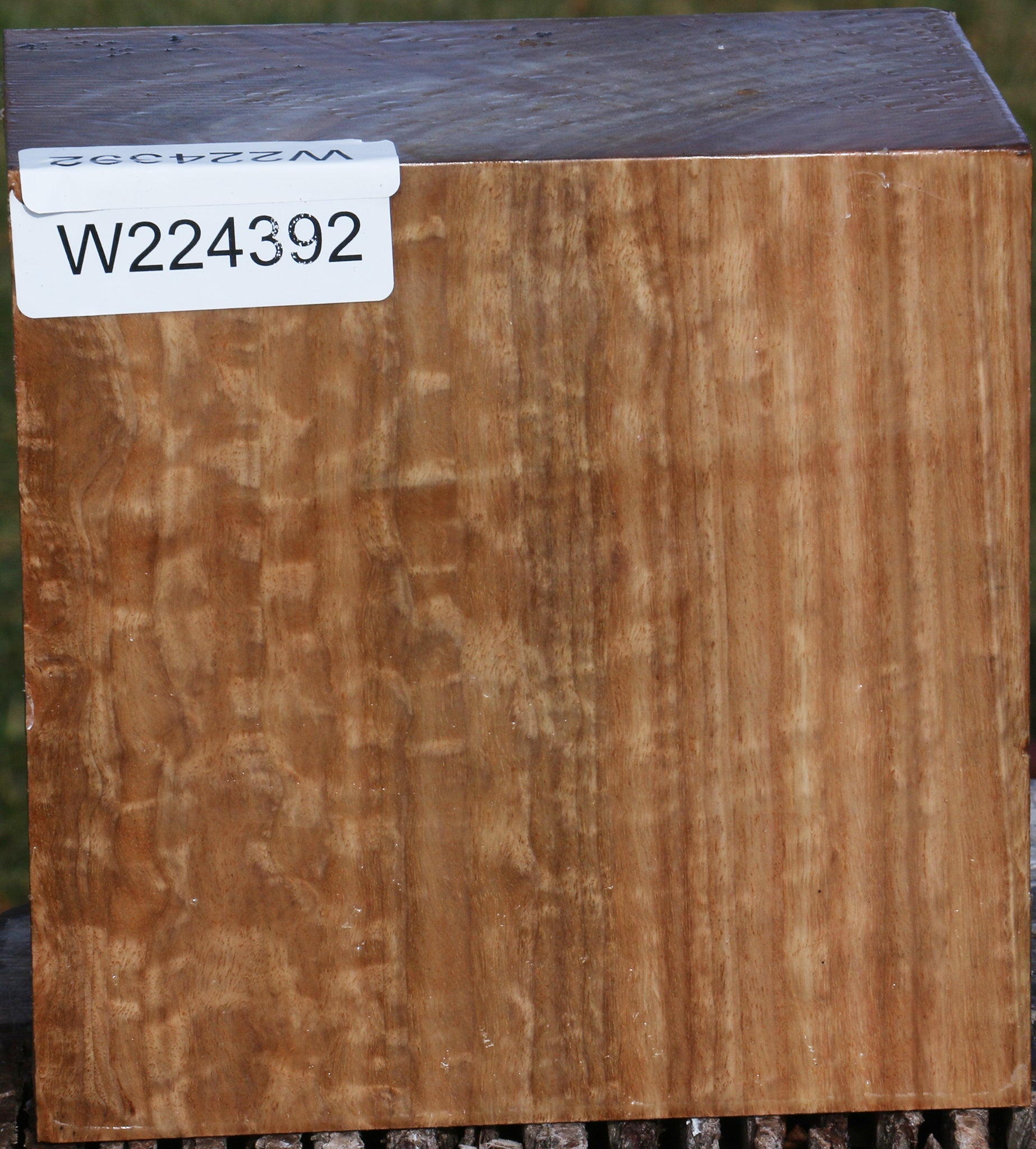 224392_1_f74b6c91-631b-4641-9d6f-4db7458b7499 15039291523443