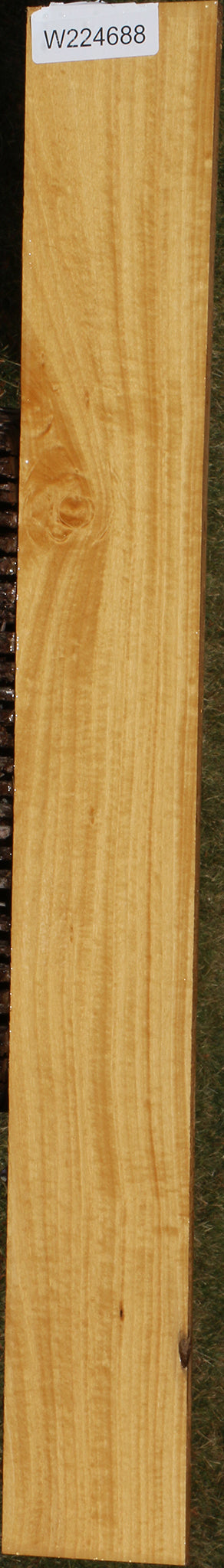 224688_1_ec034b4d-f3f0-4136-be1b-567ed5fa4896 15039755878771