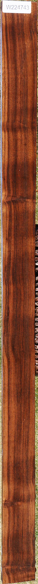 224743_1_b5a5ba40-60b3-41bb-b946-bb9e3c68edd7 15043350397299