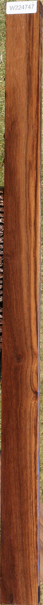 224747_1_b8661662-ee15-4a33-8635-dc685a962313 15043350528371