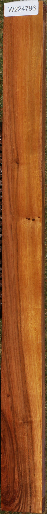 224796_1_aead9a38-012d-4ccb-8f3a-c2f5b6c55794 15043352723827