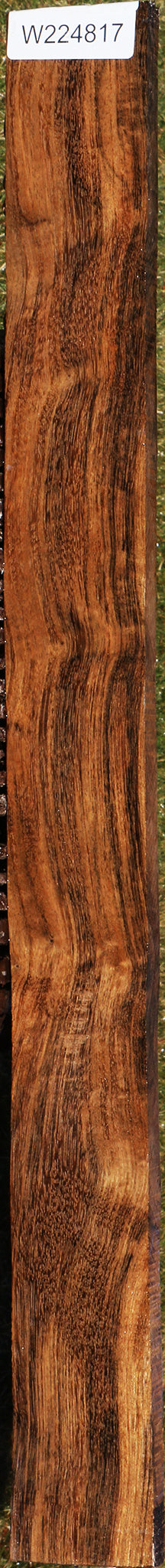 224817_1_4e55c5e8-0a2c-4d5b-978c-d94cc1ed6410 15043353477491