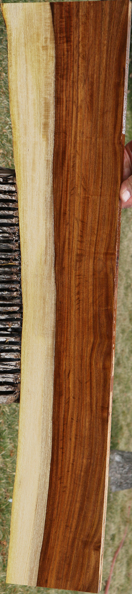 224877_1_7097b681-b896-4093-b0c3-fbacce418354 15040240746867