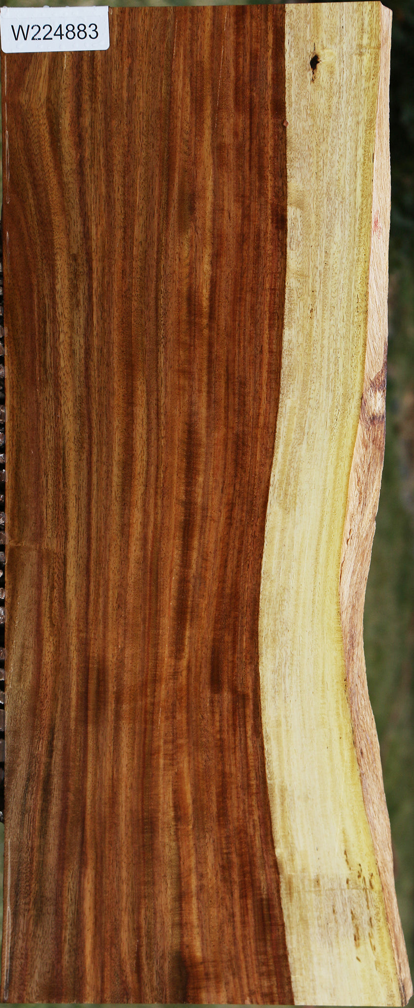 224883_1_bcd3cf94-55a8-4090-a5be-e8f74b5c6f1f 15040240976243