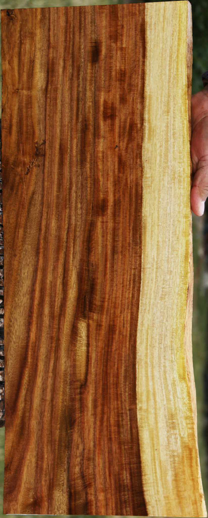 224887_1_a14c8b4b-27ca-469b-9837-30229fa2a870 15040241074547