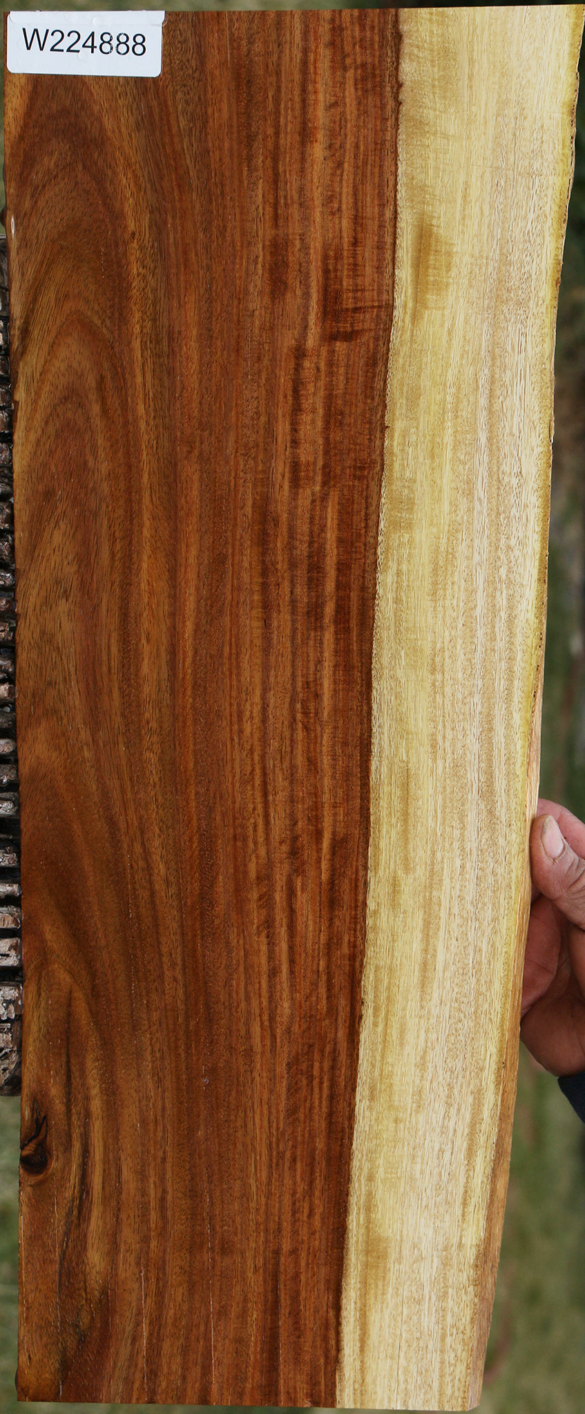 224888_1_0f5d04af-e45f-4f31-8d84-74da990b1f36 15040241107315