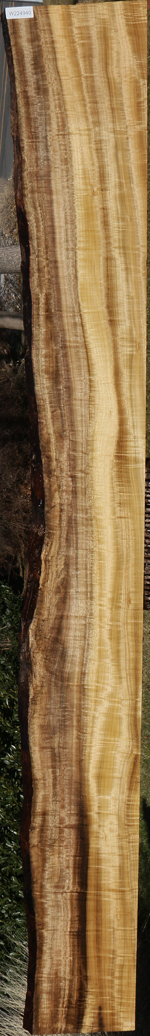 224940_1_f6bd2d1e-edc3-445c-a128-01b714736f18 15040613024115