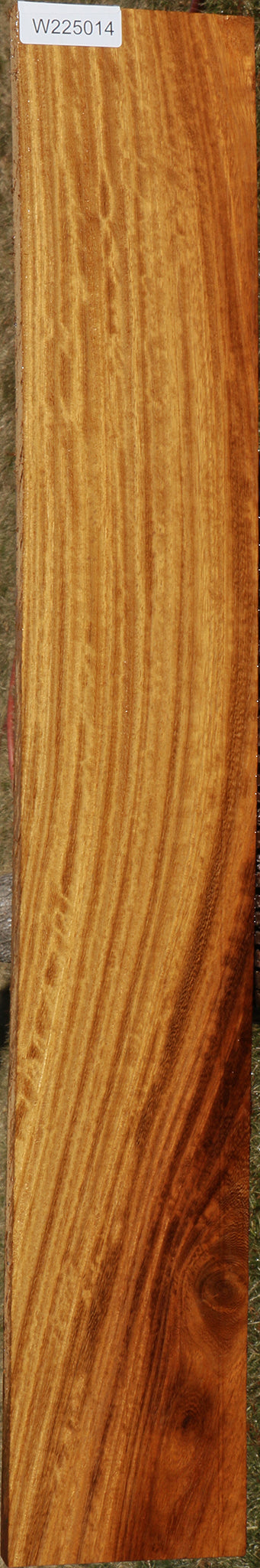 225014_1_0b7b341f-1569-4fa4-b141-5a619902bff3 15043338273139