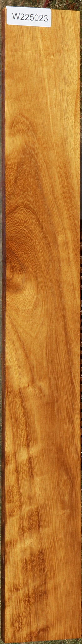 225023_1_833a63b3-3a82-46a9-b8ad-ba5dbe041725 15043338994035