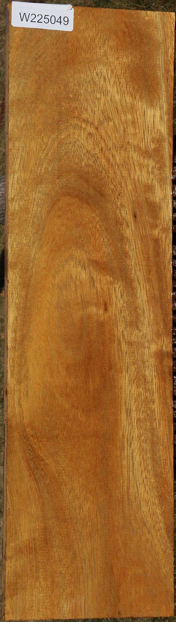 225049_1_d1dcb8f4-016a-4580-a0f2-57de9eb0f62e 15043340009843