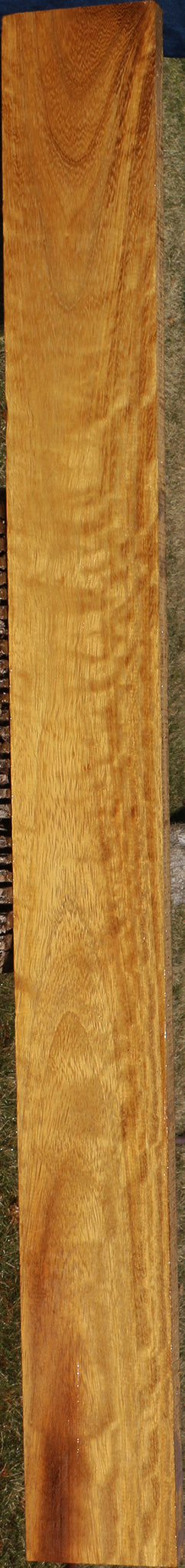 225070_1_e10bea04-8229-46f0-9115-e72398b7045c 15043341025651